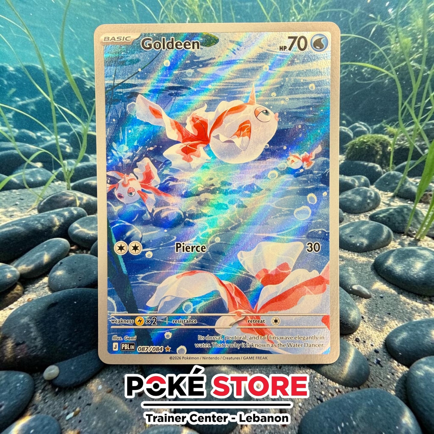 Goldeen #87