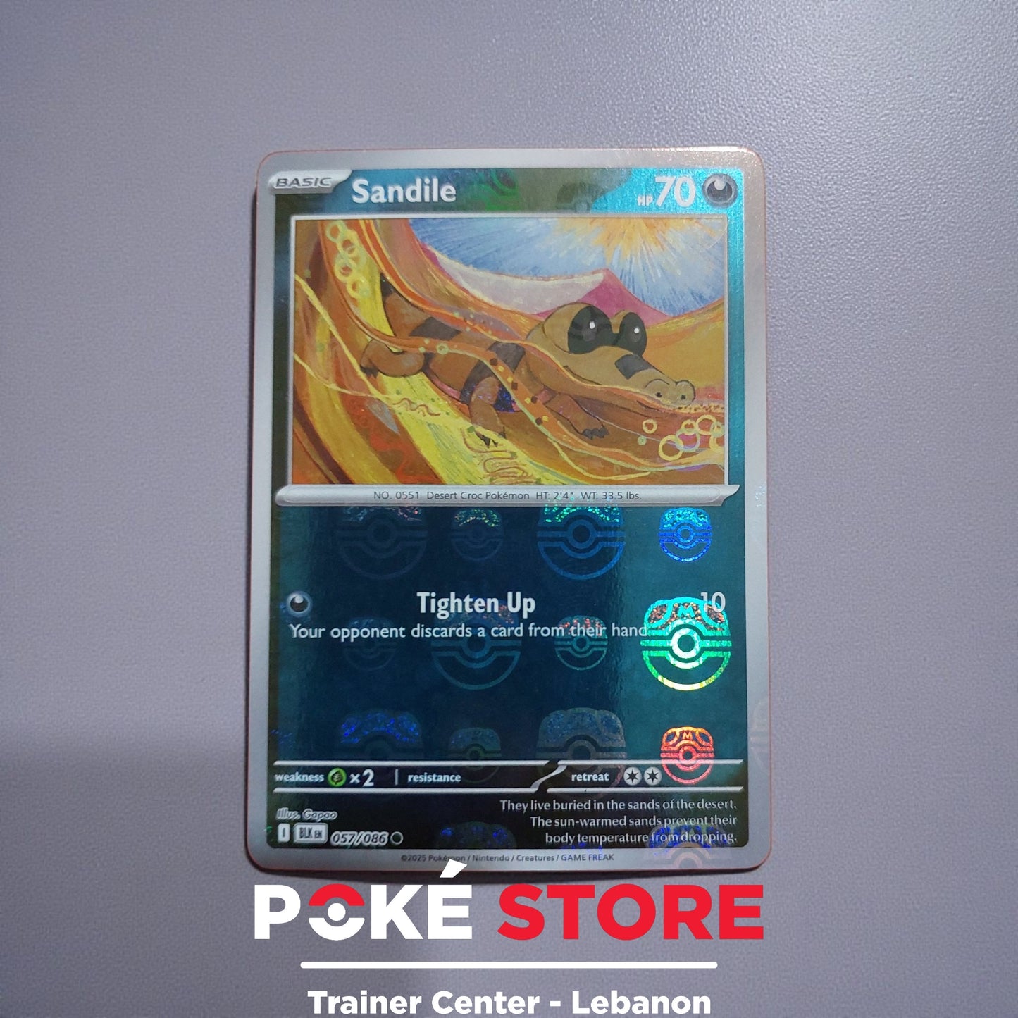 Sandile Masterball #57