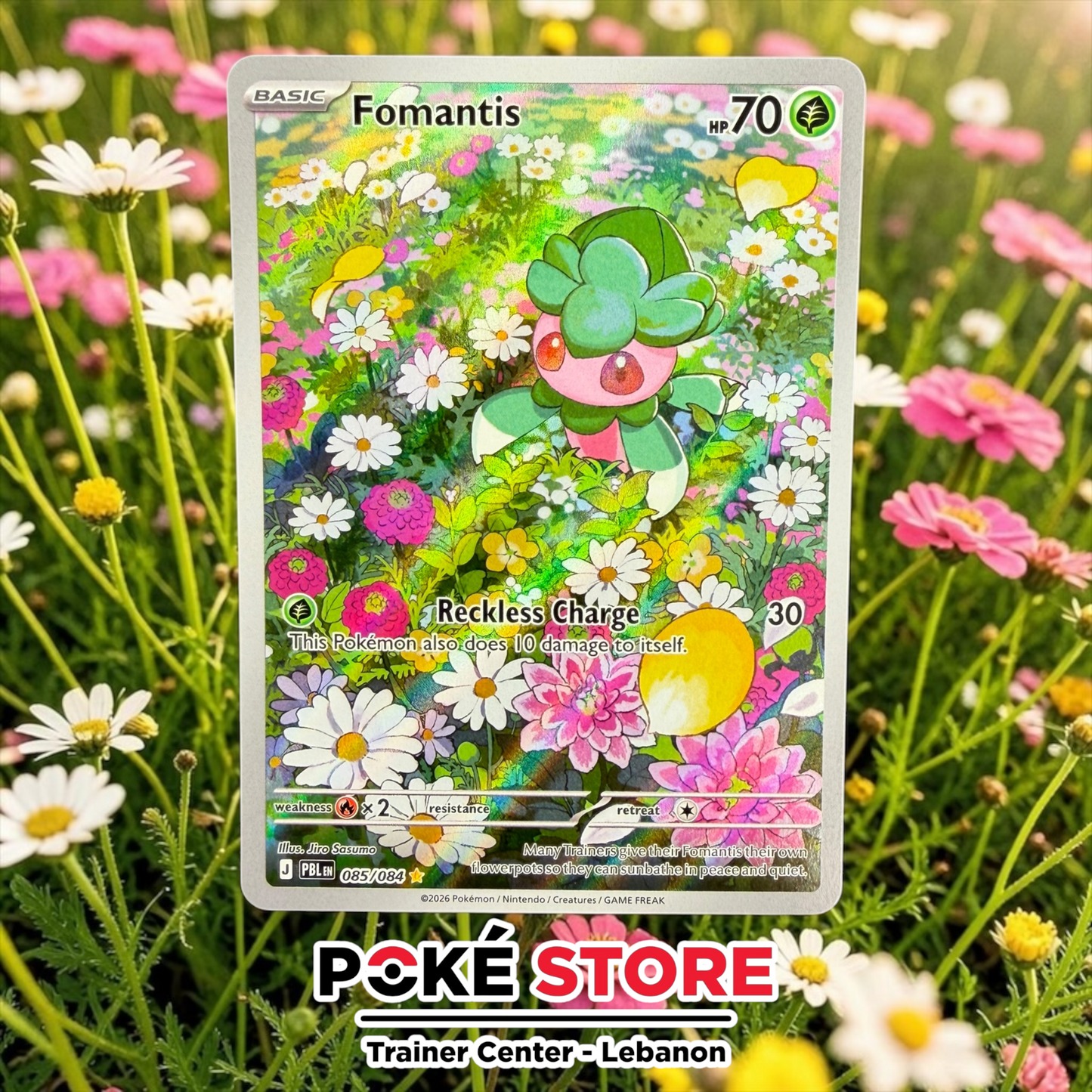 Fomantis #85