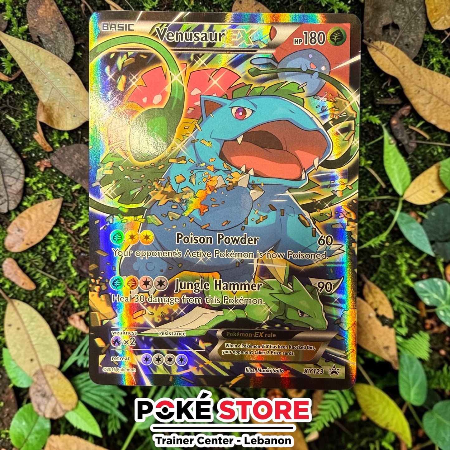 Venusaur EX #XY123